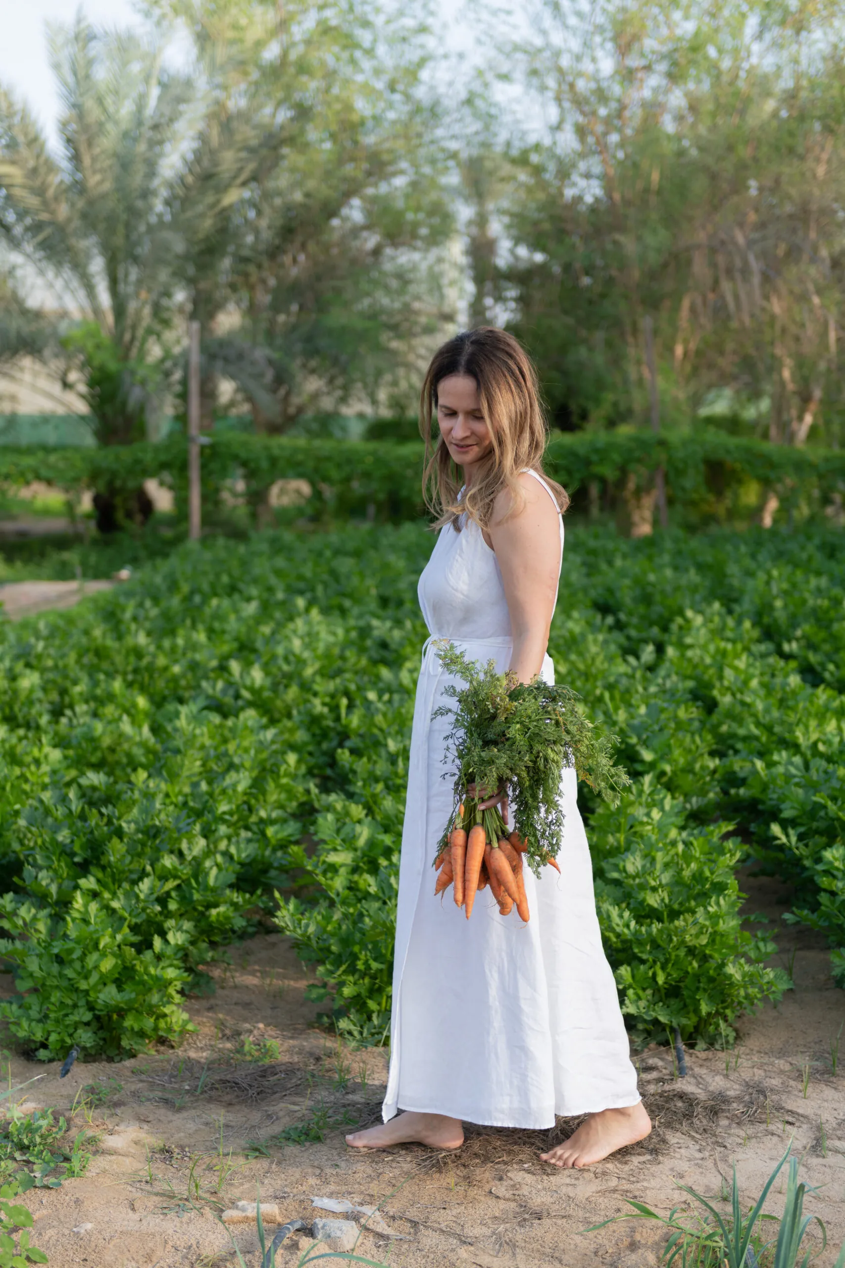 Parsley and carrots on a table